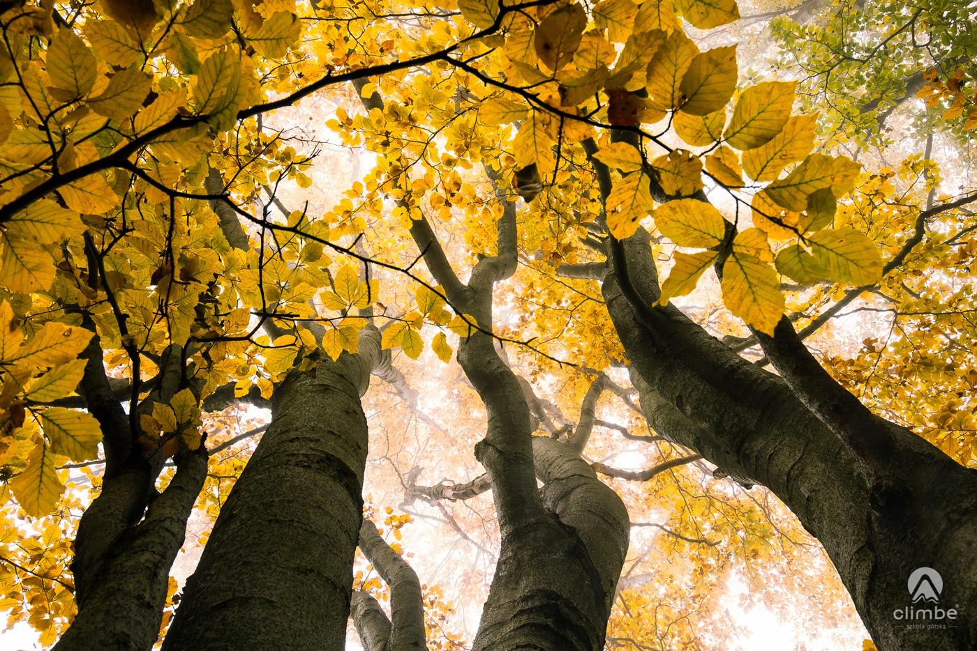 Białowodzka Góra. Korona Beskidu Wyspowego. Beskid Wyspowy. Beskidy