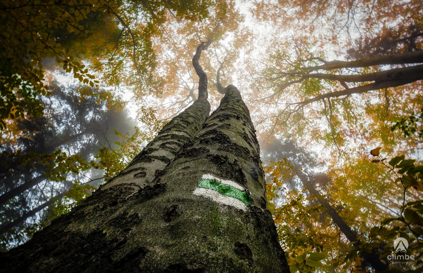 Białowodzka Góra. Korona Beskidu Wyspowego
