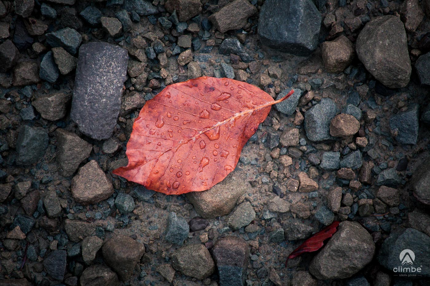 Zachód słońca na Mogielicy. Na szczycie wieży widokowej. Korona Beskidu Wyspowego. Mogielica. Królowa Beskidu Wyspowego. Beskidzkie Wyspy. 102 wyspy