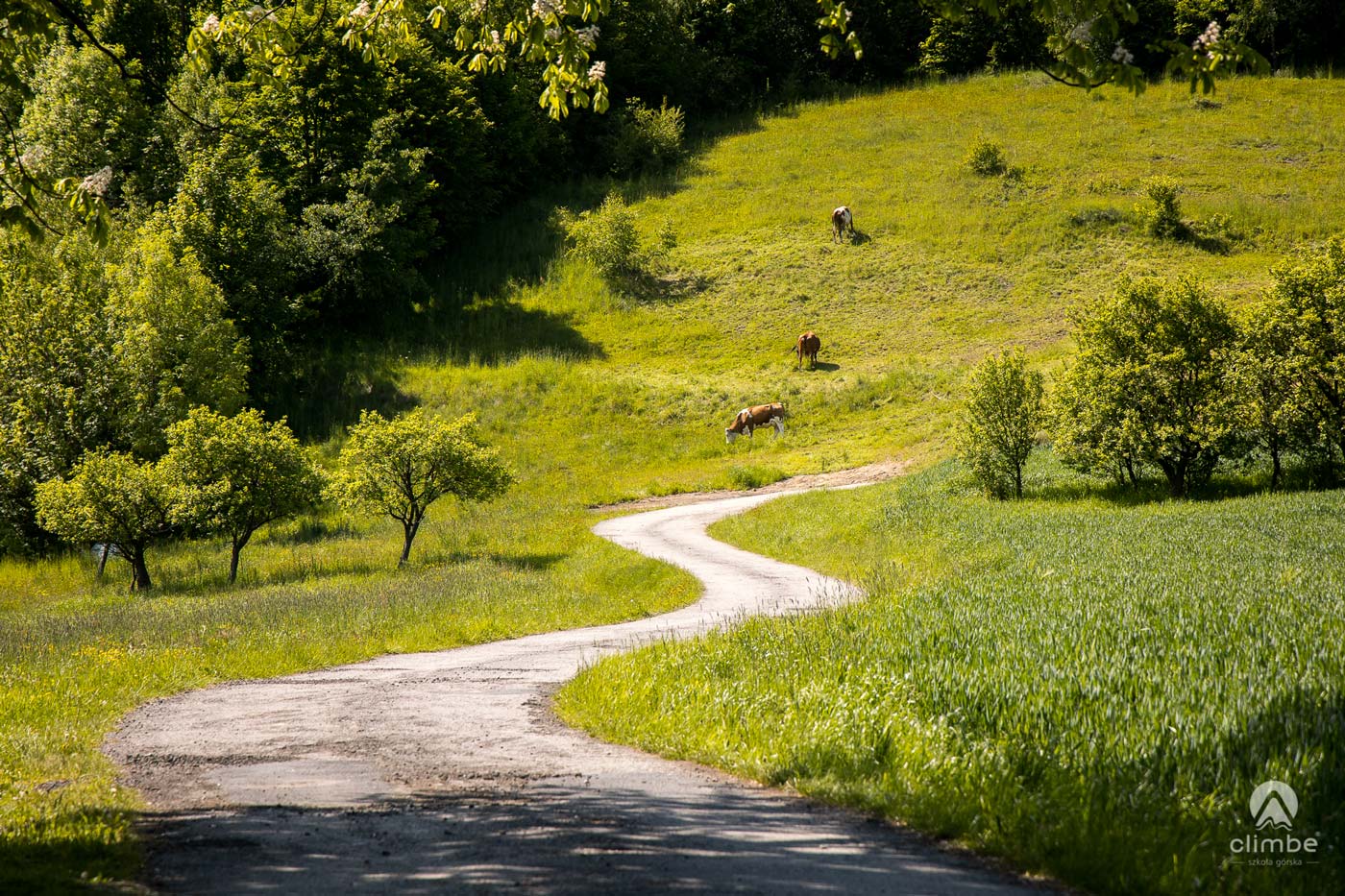 Korona Beskidu Wyspowego. Beskid Wyspowy.