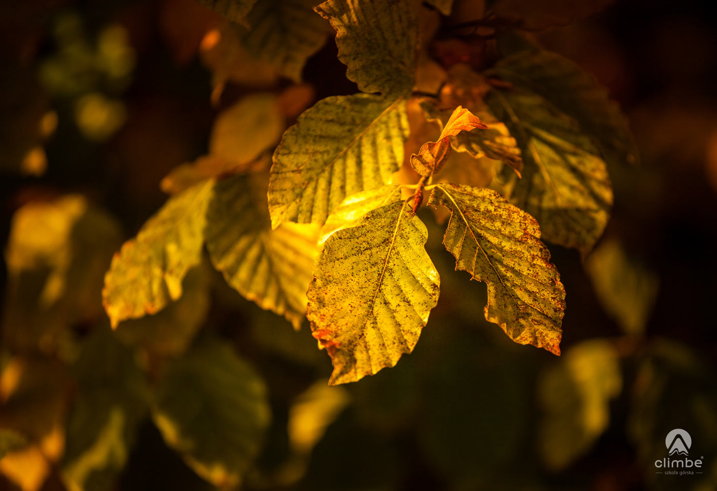 Zachód słońca na Mogielicy. Na szczycie wieży widokowej. Korona Beskidu Wyspowego. Mogielica. Królowa Beskidu Wyspowego. Beskidzkie Wyspy. 102 wyspy