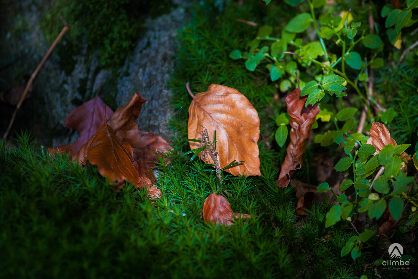 Zachód słońca na Mogielicy. Na szczycie wieży widokowej. Korona Beskidu Wyspowego. Mogielica. Królowa Beskidu Wyspowego. Beskidzkie Wyspy. 102 wyspy