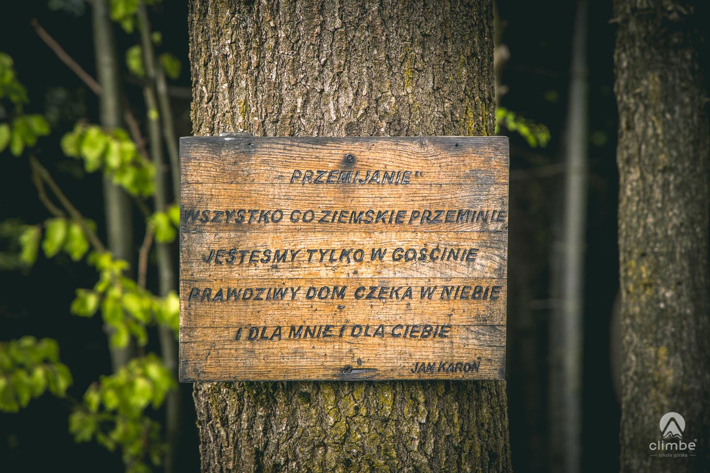 Plan rodzinny w drodze na Urbanią Górę. Korona Beskidu Wyspowego. BEskid Wyspowy