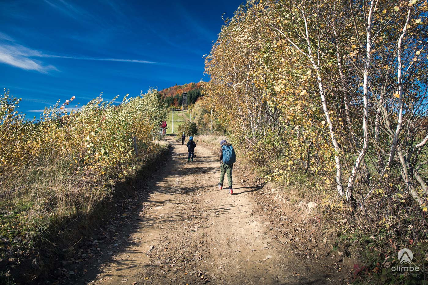 W drodze na Jaworz. W oddali wieża widokowa. Korona Beskidu Wyspowego. Beskid Wyspowy