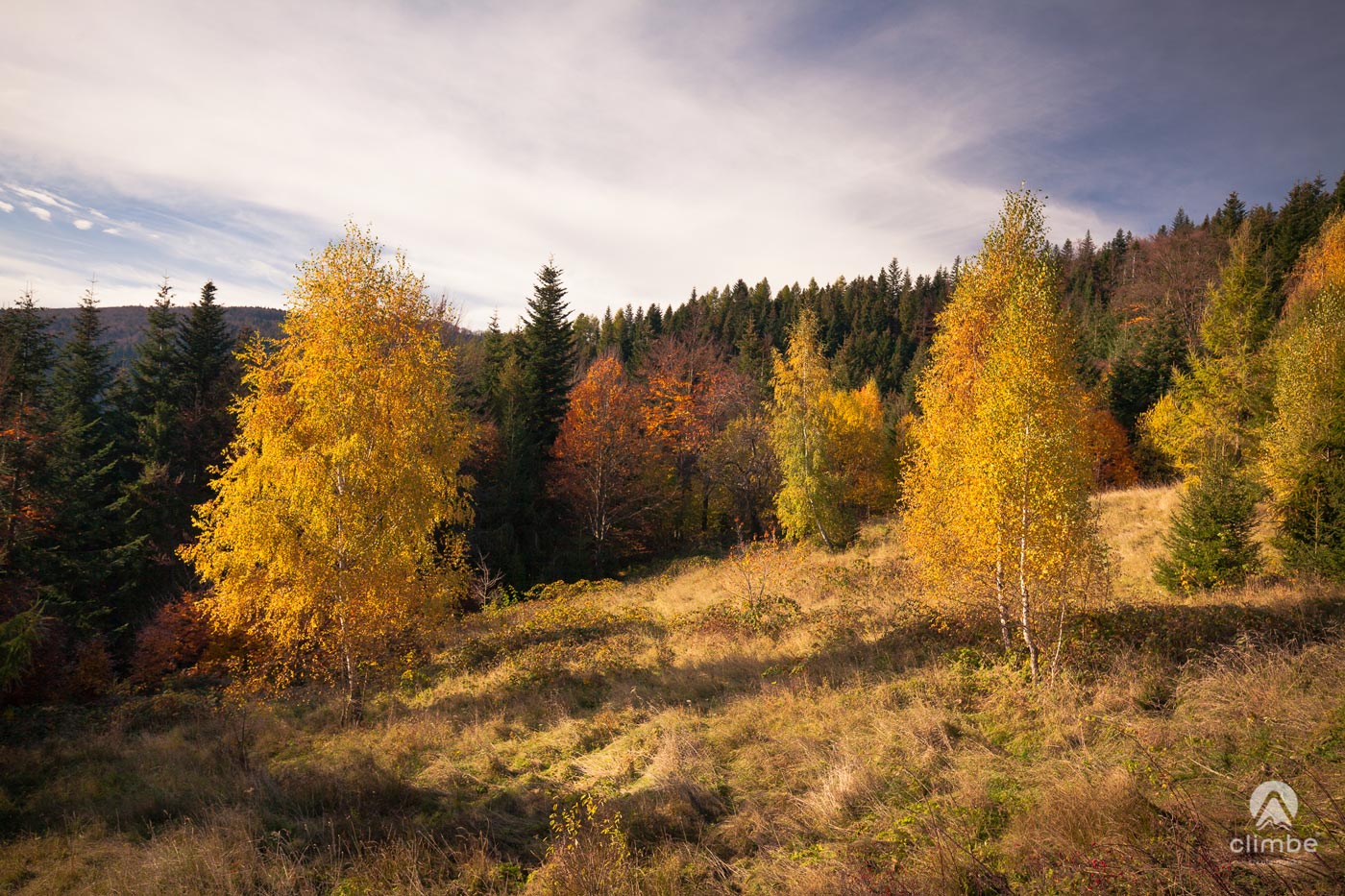 W drodze na Stumorgową Polanę i Mogielicę. Mogielica. Korona Beskidu Wyspowego. Beskid Wyspowy