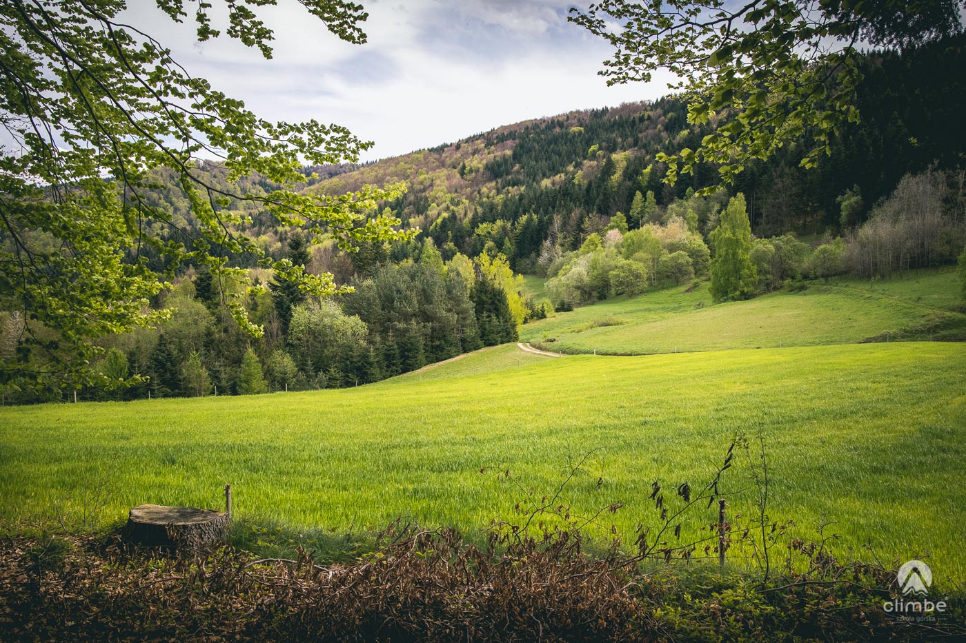 Zembolowa. Korona Beskidu Wyspowego.